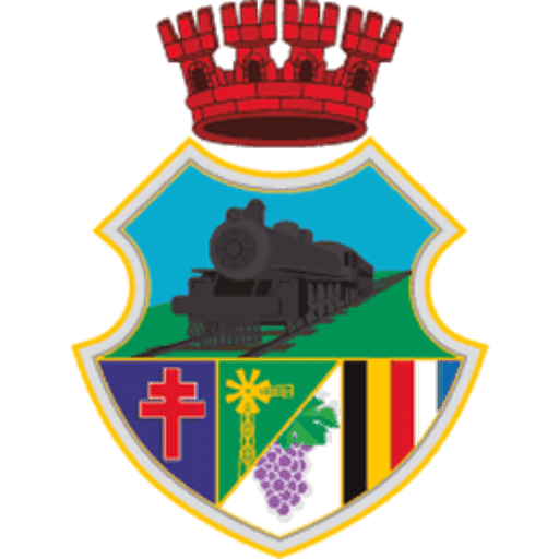 Logo de Municipalidad de Villa Alemana